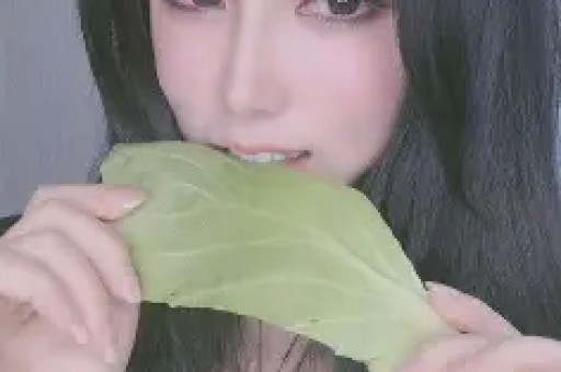 官方版-2026最新版v4